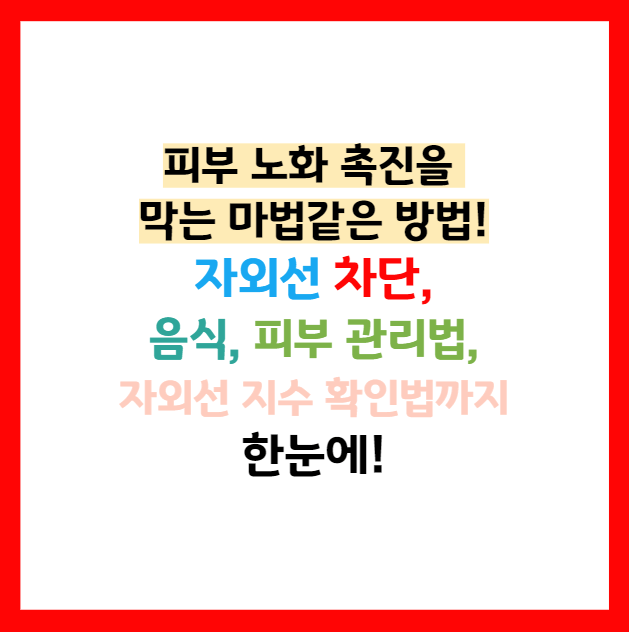 피부 노화 방지