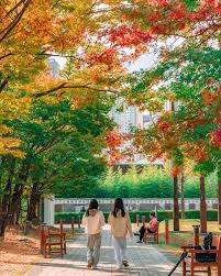 부산 시민공원