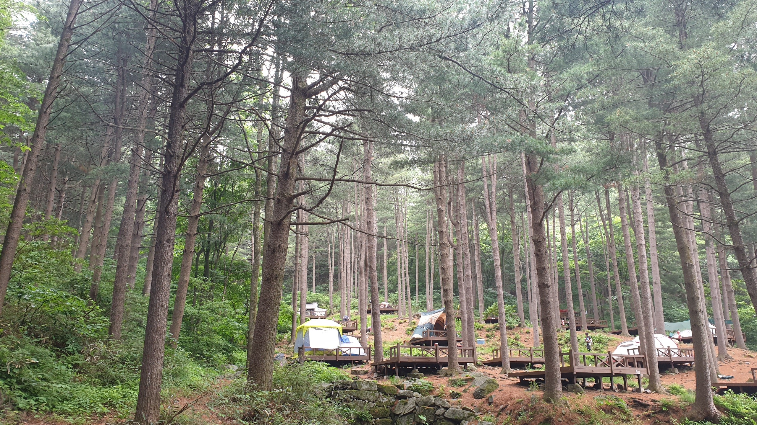 청태산자연휴양림