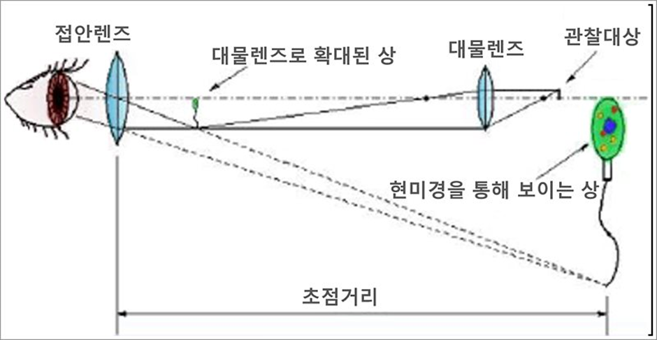광학현미경-원리