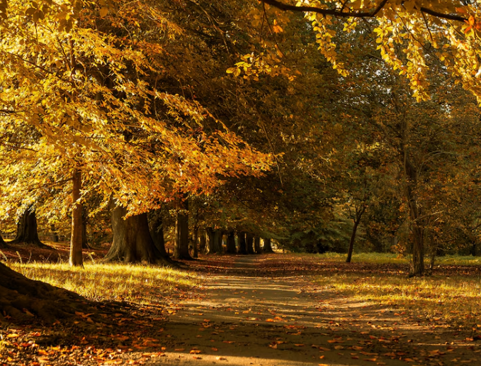 강원도 단풍 드라이브 코스 추천 - 3. 양양 한계령 휴게소