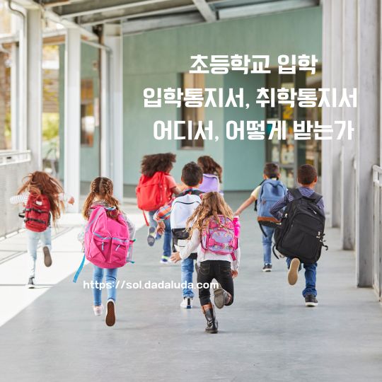 초등학교 입학통지서 취학통지서