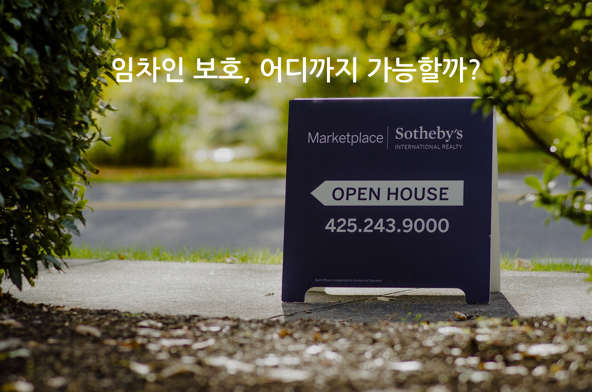 부동산 사무소 안내 표지판이 나무 사이로 보이는 배경에 임차인 보호, 어디까지 가능할까? 라는 문자가 쓰여 있다.