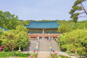 강원도 지역 명소 12선