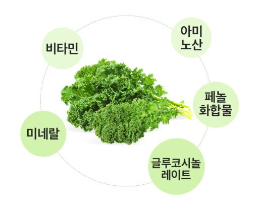 컬리케일-효능
