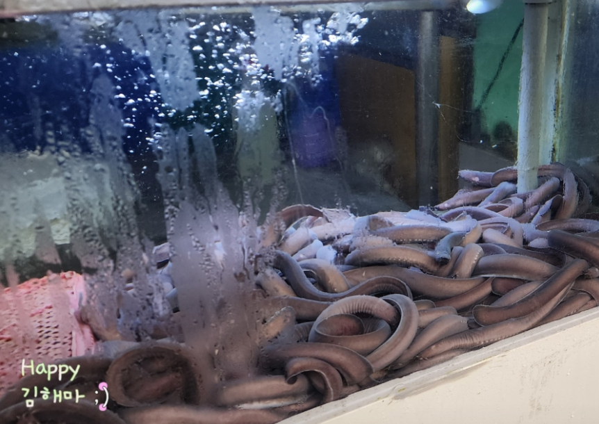 금촌동 장어 맛집 벌떡장어 꼼장어