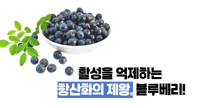 블루베리 효능 부작용