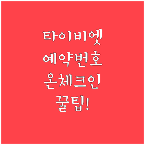 타이비엣젯 예약번호로 온라인 체크인 ..