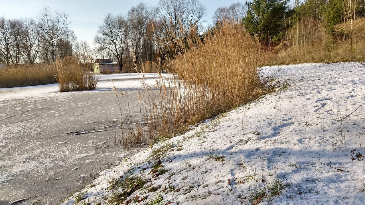 비염에 좋은 영양제