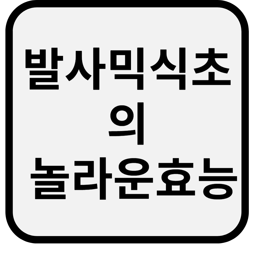 발사믹 식초의 놀라운 효능