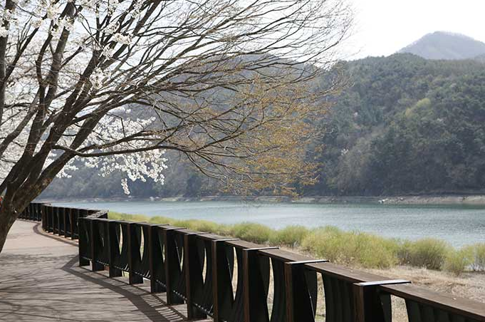 느림보 단양길 1