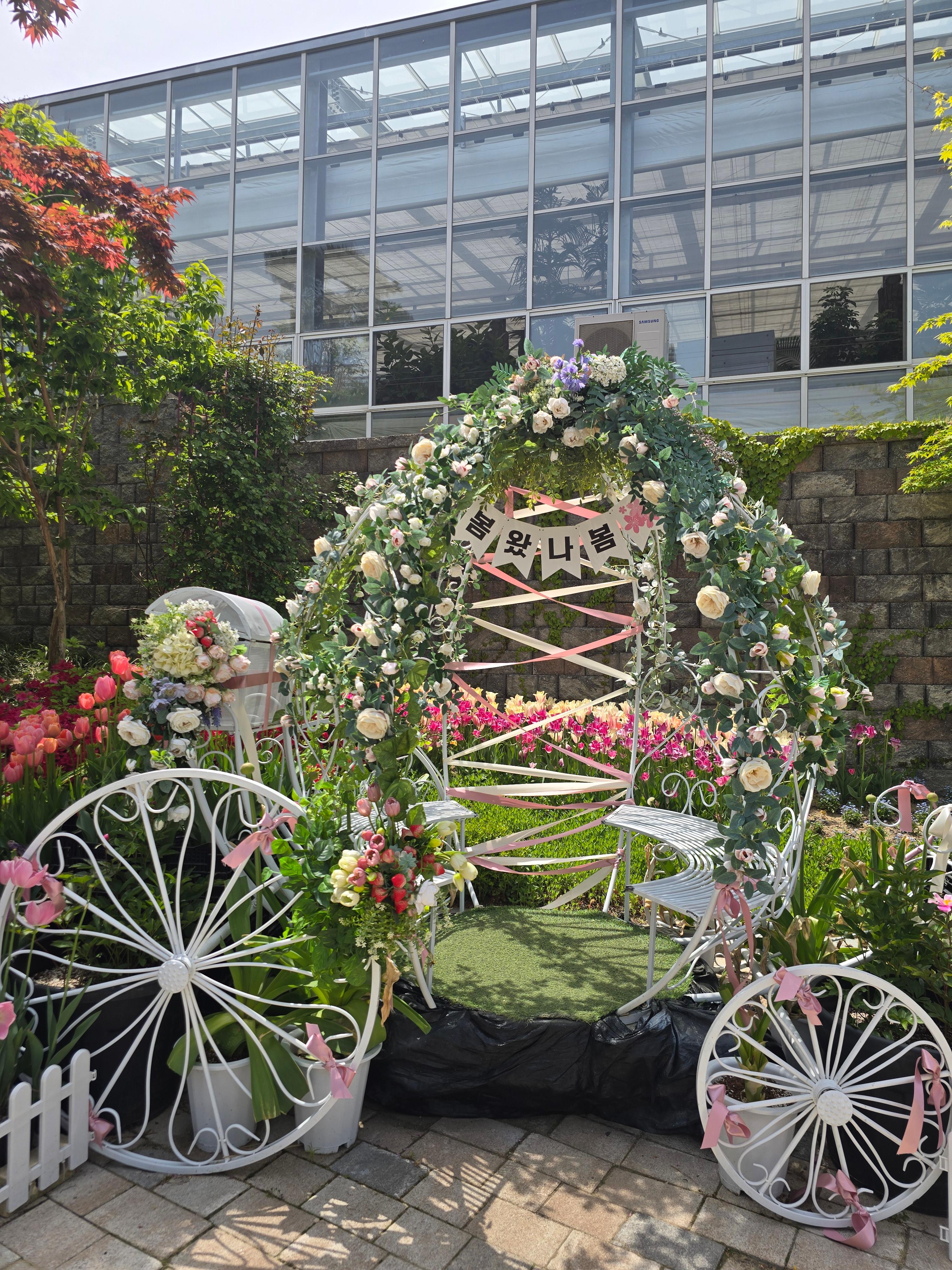 용인 자작나무 숲 봄꽃축제, 힐링 가득한 하루
