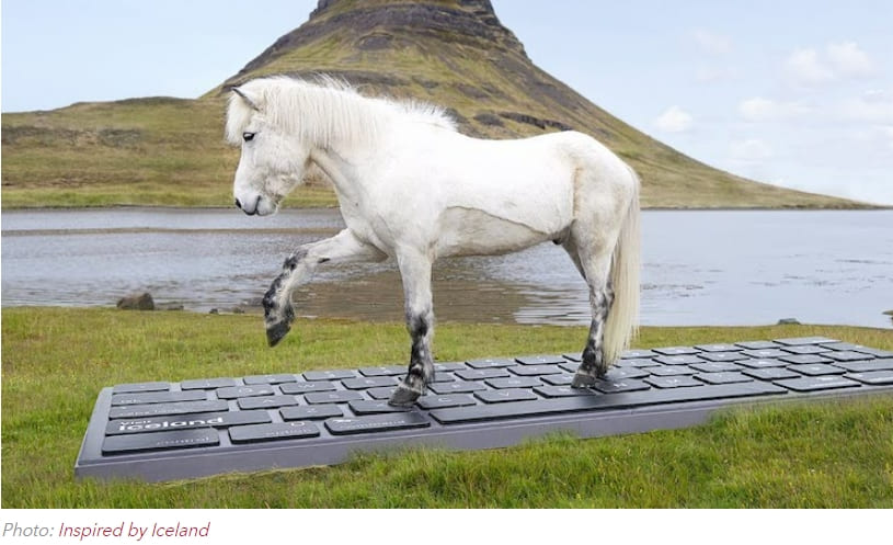 휴가 가 있는 동안 말에게 이메일을 받아보세요! VIDEO:OutHorse Your Email to Iceland’s Horses