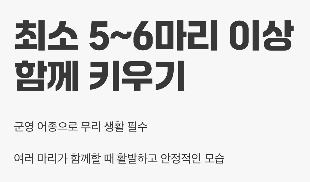 혼자는 외로워요, 친구가 필요해요