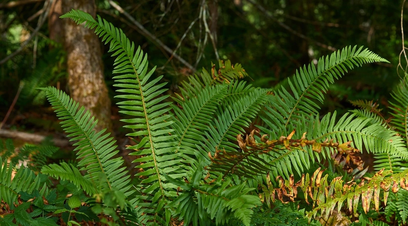 에폭시 시공의 절차