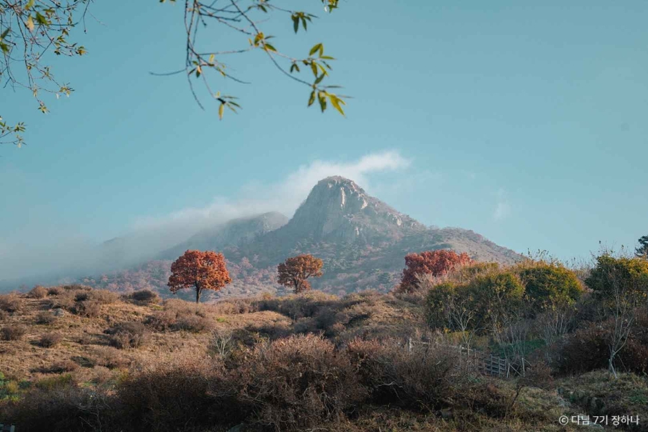 산청 가볼만한곳 베스트10