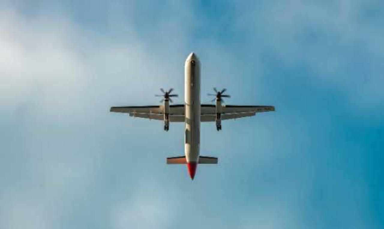 ๋นํ๊ธฐ ๊ฒฐํญ ํ์ธ