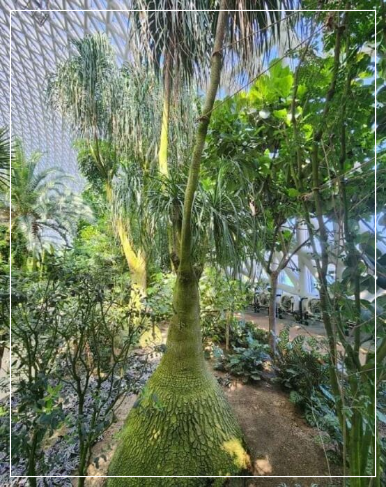 거제도 가볼만한곳 베스트10 거제식물원