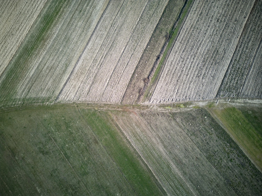 Land.