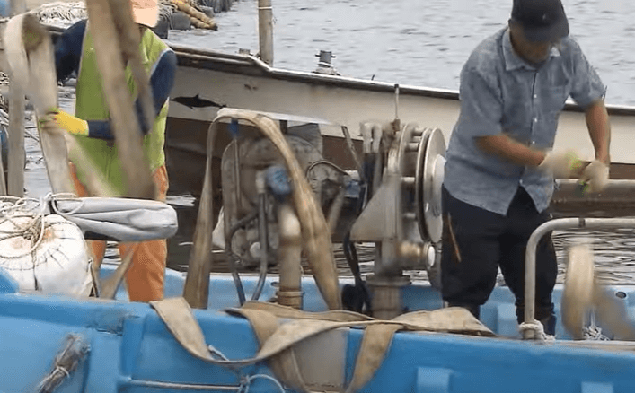 태풍에 대비하여 선박을 이송중인 장면