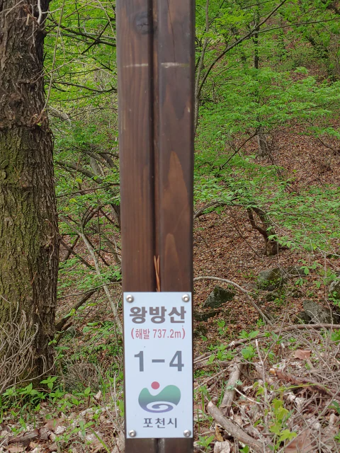 왕방산-737.2m