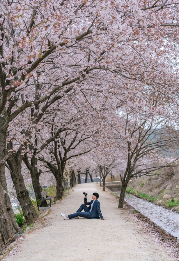 제17회 전농로 왕벚꽃축제