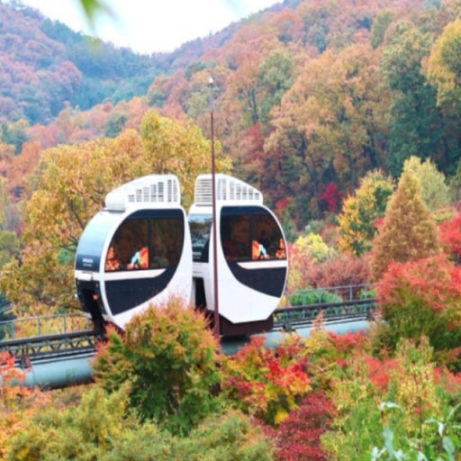 화담숲 사진