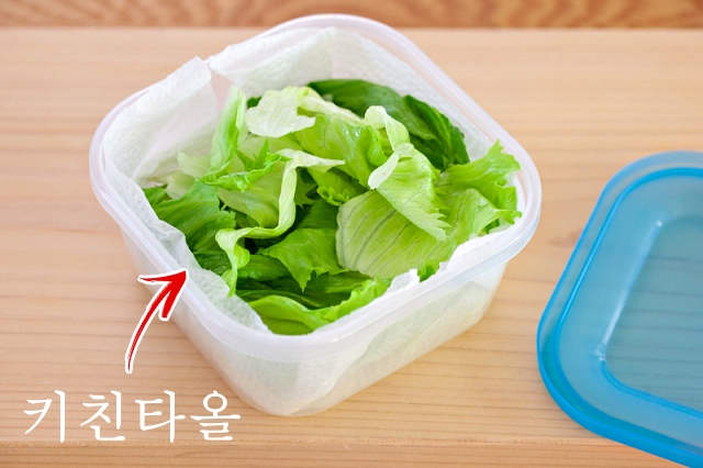 양상추 보관법, 시든 상추 살리는방법, 시든 채소 싱싱하게, 얼음물 양상추, 팁줌 매일꿀정보