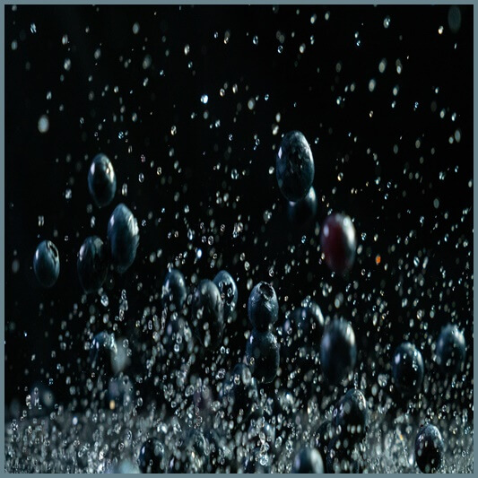 블루베리-부작용-주의사항