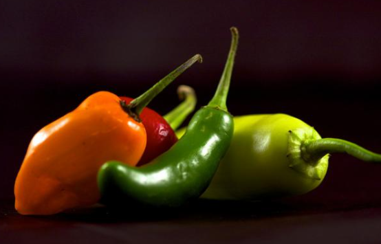 할라피뇨_보관법