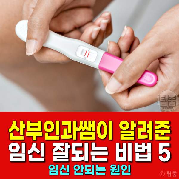 임신 잘되는 비법,임신 잘되는 음식,임신이 안되는 원인