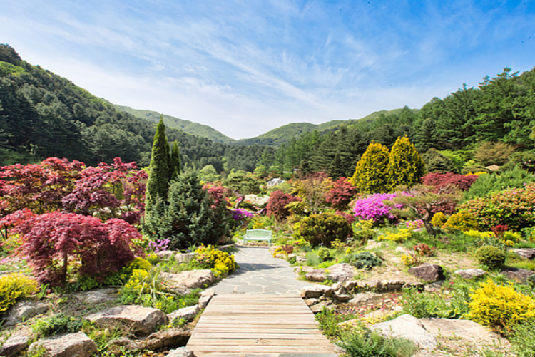 아침고요 수목원
