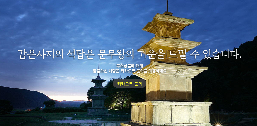 경주 시티투어4