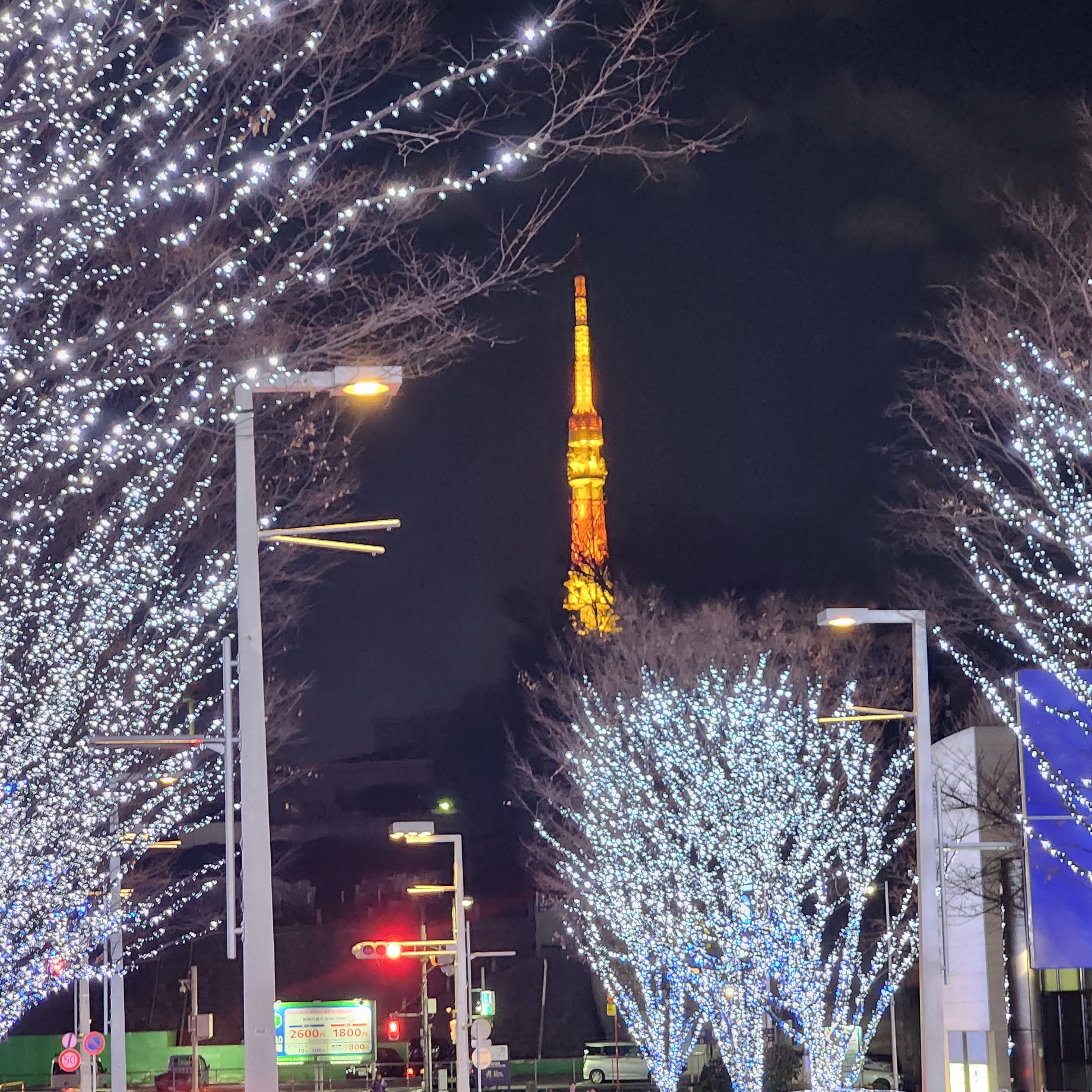 도쿄 일루미네이션 사진