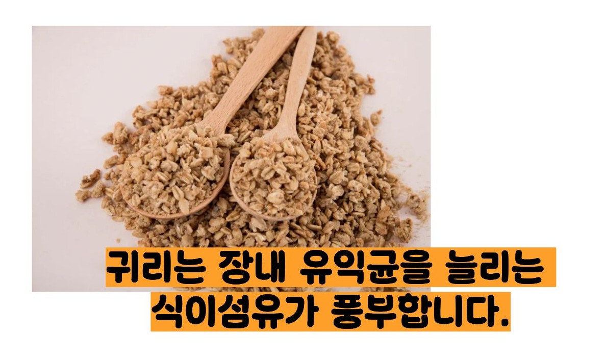 식이섬유가 많은 음식