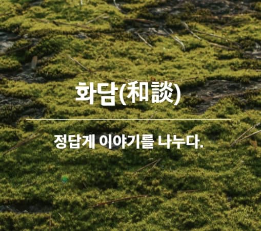 벚꽃축제 봄꽃축제