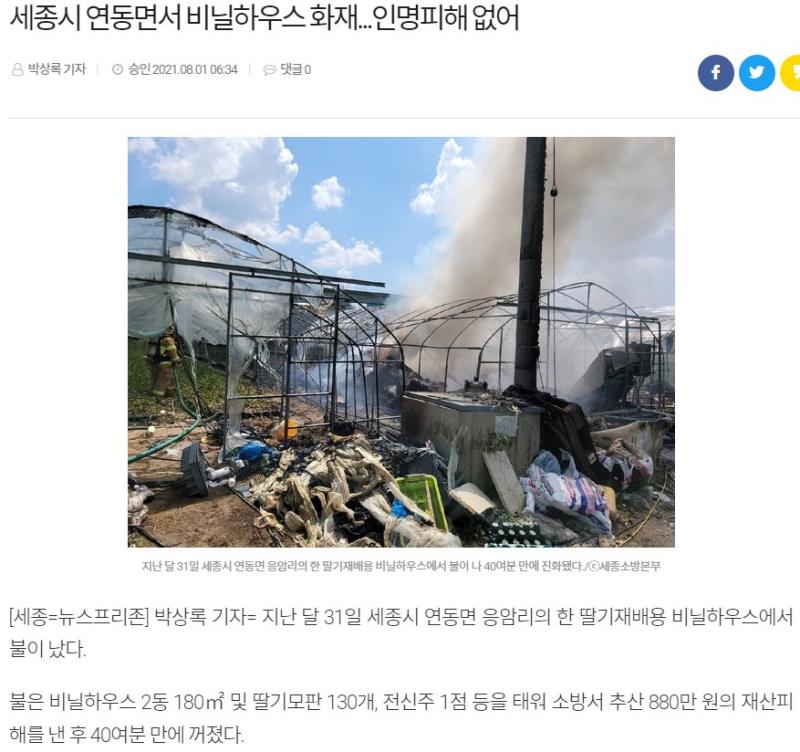 비닐하우스 난방기 화재 기사1