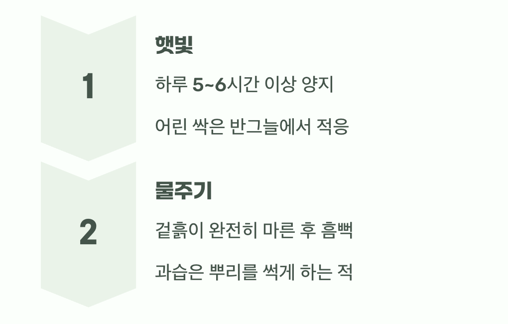 햇살과 물, 가장 기본적인 약속