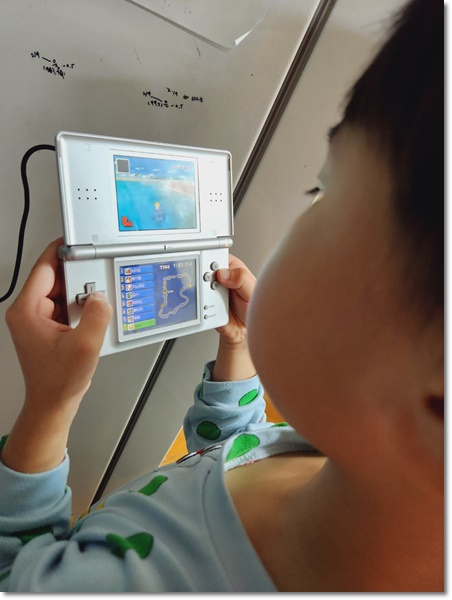 닌텐도 dslite 충전기