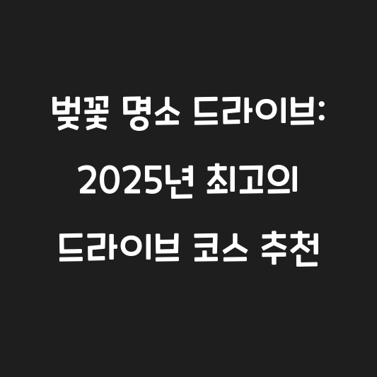 벚꽃 명소 드라이브: 2025년 최고의 드라이브 코스 추천 대표 이미지