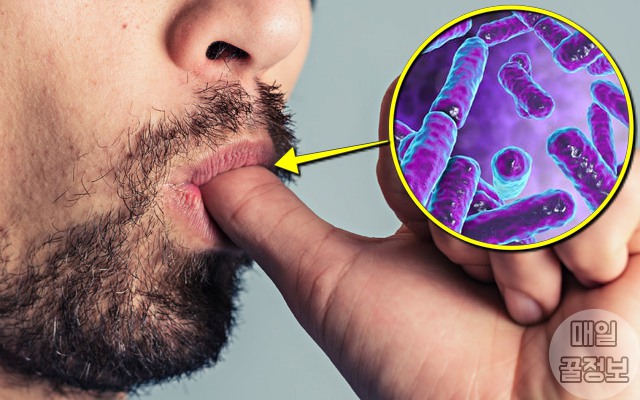 손가락 베였을때 병원 응급처치법