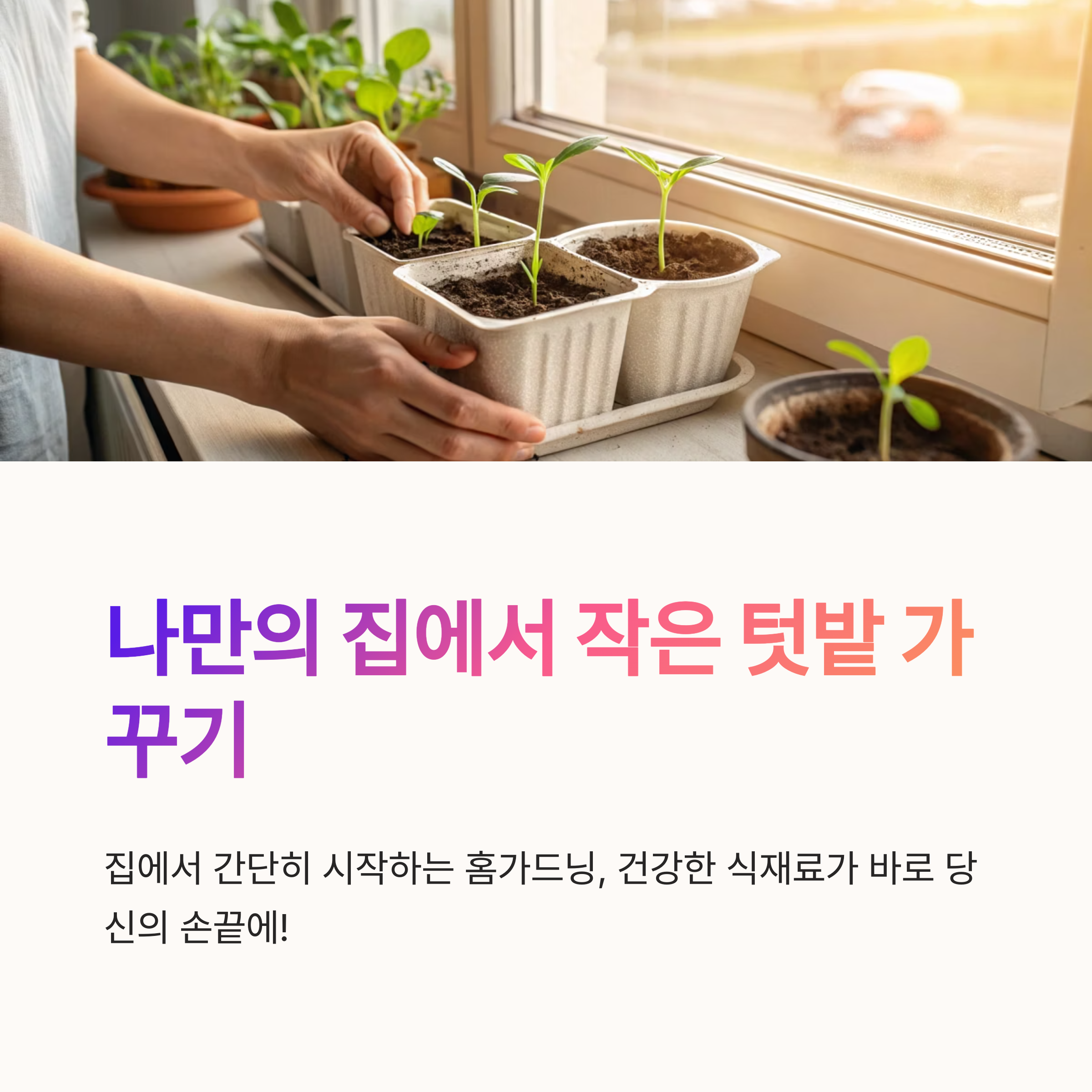 당근 심는 시기 언제가 좋을까요