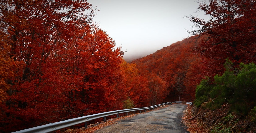 가을 감성여행지 추천 : 자연, 풍경, 사진