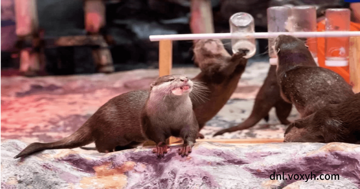 롯데월드의 생태