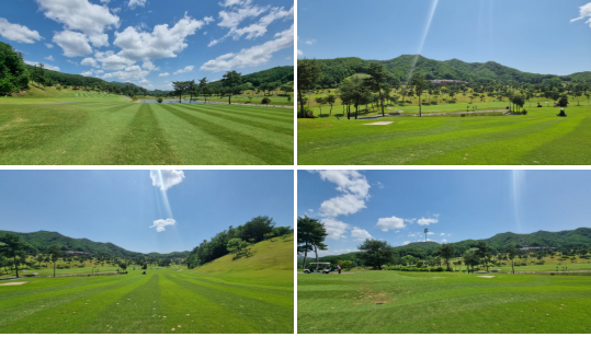 햇빛이 내리쬐는 날씨