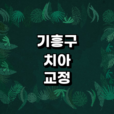 용인 기흥구 교정 치과