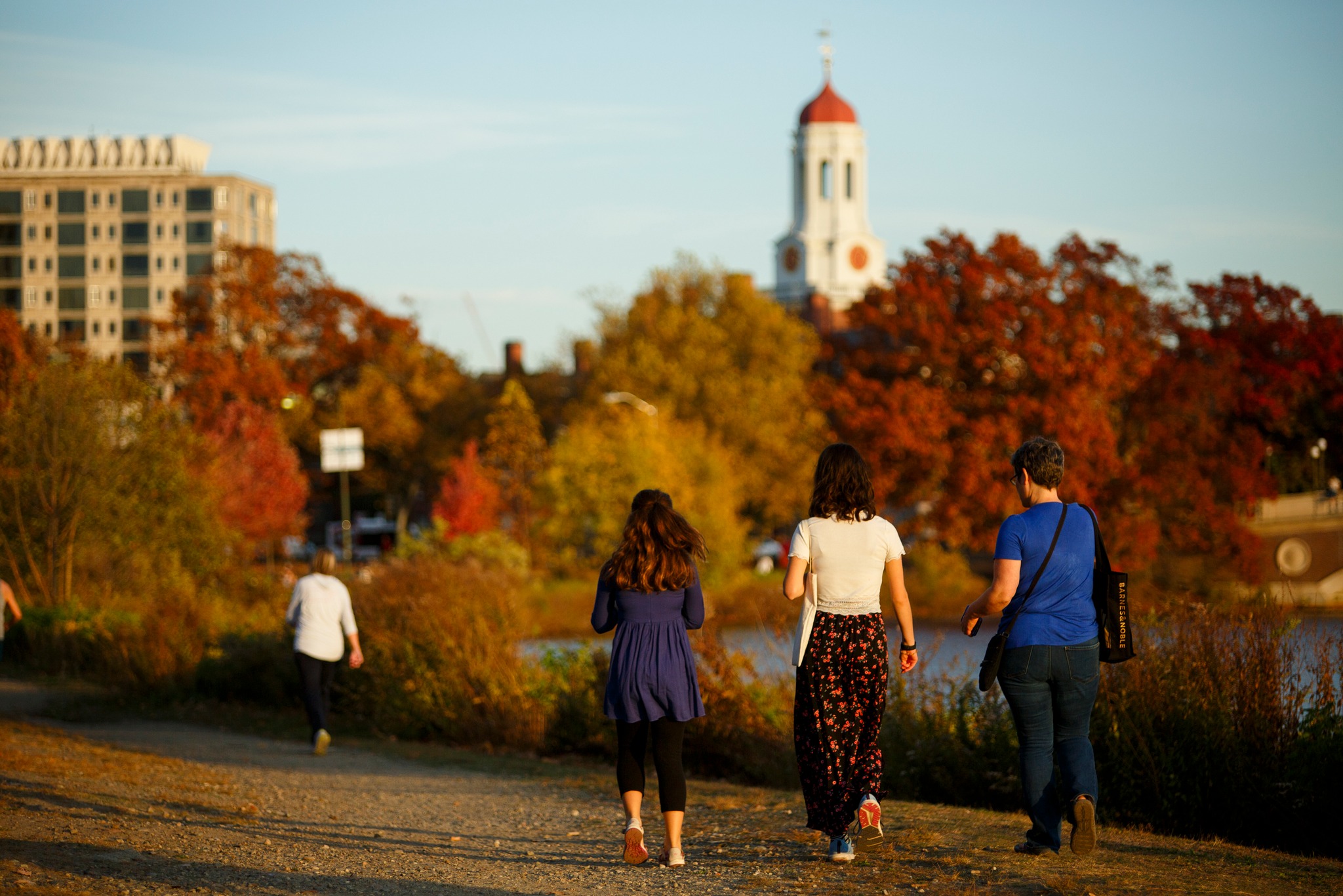 QS세계대학 하버드 HarvardUniversity 하버드야드 존하버드