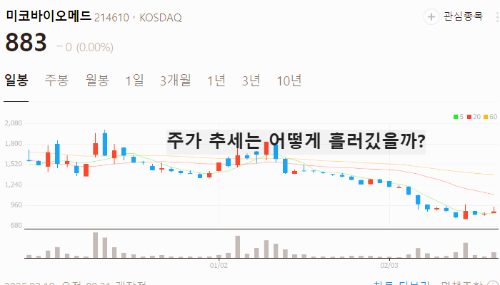 AI 의료기기 관련주 대장주 TOP7