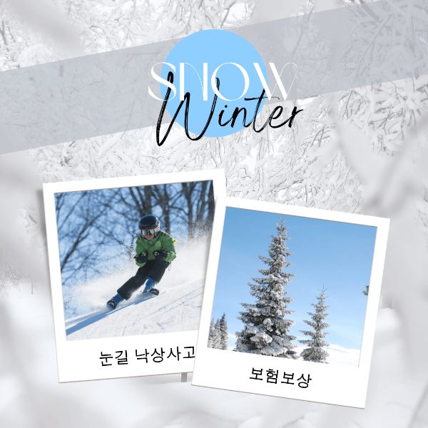 보험 꿀팁