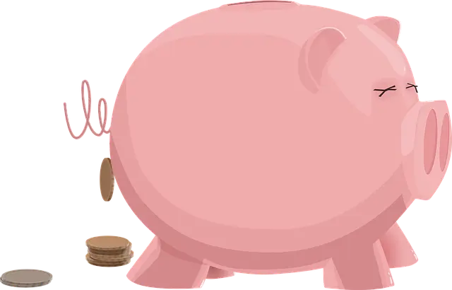 국민연금 개혁안